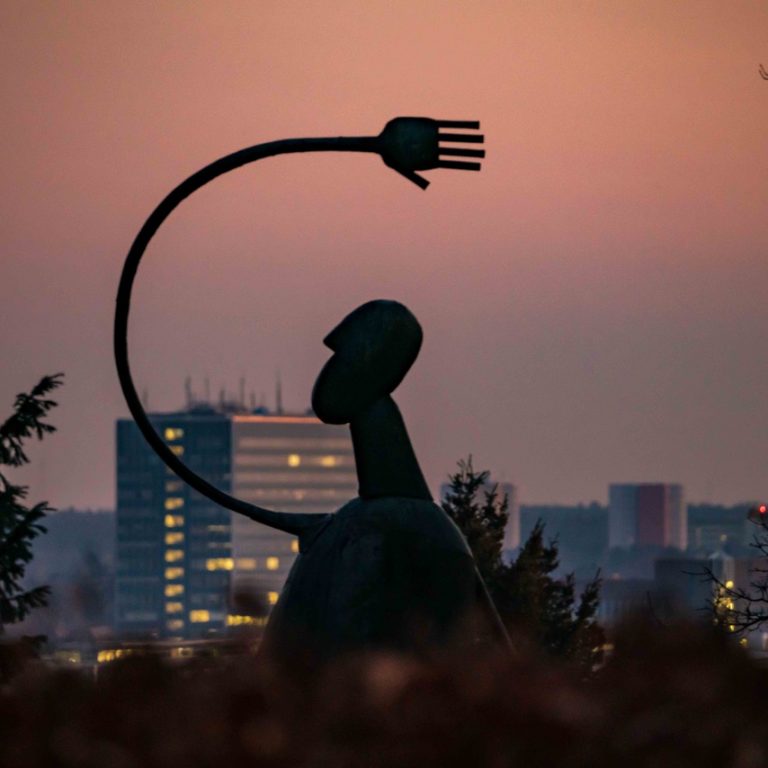 "Ein Blick über die Stadt vom Burgberggarten aus an einem späten November-Nachmittag. Gefühlt weit oben über der Stadt aber ihr gleichzeitig doch so nah. Während der Bergkirchweih vermischt sich der Duft von Frühlingsblüten mit dem von gebrannten Mandeln. Ein Platz mit ganz viel Lebensqualität. Gewählt habe ich dieses Bild, weil es die bekannte Skulptur aus dem Skulpturengarten mit dem bekannten Arbeitgeber der Stadt aus einer besonderen Perspektive in Verbindung bringt."