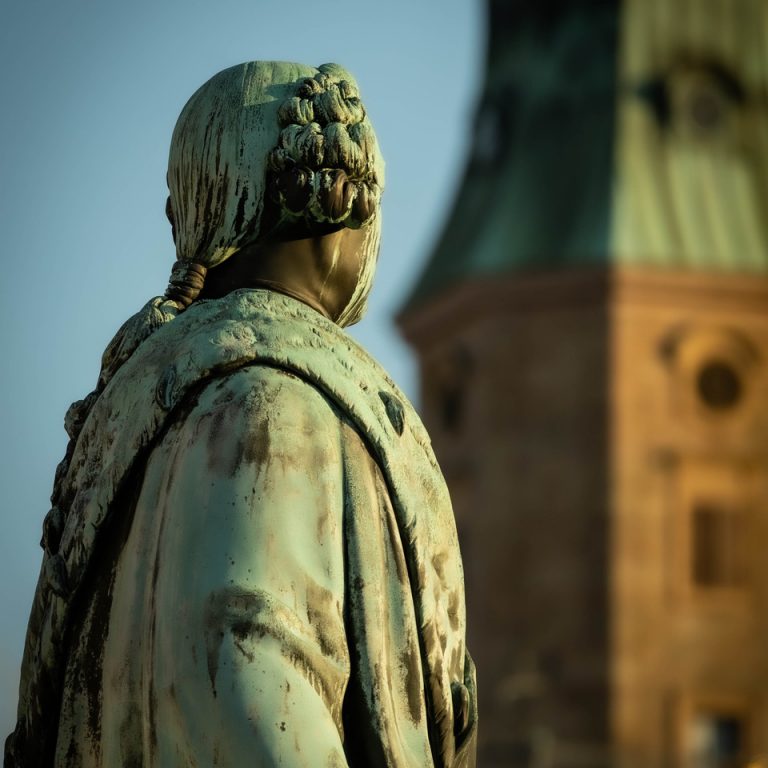 "Der Markgraf und die Hugenottenkirche an einem August-Abend. Als gebürtiger Erlanger und ehemaliger Student an der FAU liegt der Schlossplatz im Herzen der Stadt. Die Universität im Schloss, der grüne Schlossgarten, die Hugenottenkirche - einfach ganz viel Geschichte. Das Bild habe ich ausgewählt, weil es den Markgraf und die Hugenottenkirche aus einer interessanten Perspektive in Verbindung bringt."