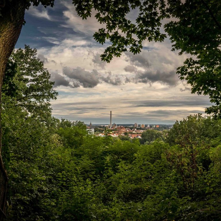 "Ein Juli-Abend im Burgberggarten. Gefühlt weit oben über der Stadt aber ihr gleichzeitig doch so nah. Während der Bergkirchweih vermischt sich der Duft von Frühlingsblüten mit dem von gebrannten Mandeln. Ein Platz mit ganz viel Lebensqualität. Ich habe das Bild gewählt, wegen des vielen Grüns und der schon fast Urwald-artige Atmosphäre."